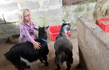 Stunning location in the centre of Exmoor - Foto 20