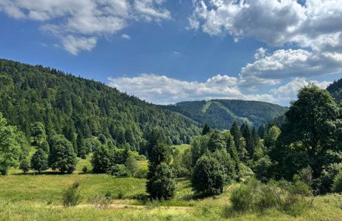 Appartement à La Bresse - cadre naturel et calme - Foto 28