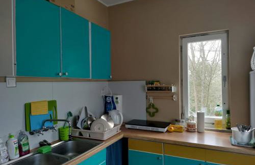 Widny Jaś zaprasza z psem nad jezioro na Kaszubach - Foto 22