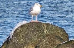 Strandgut - das appartement - Foto 38