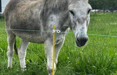 Dreams of Alaric - Photo 49