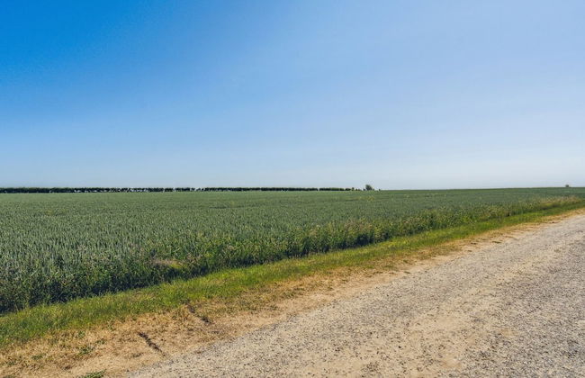 "Anella" - 200m from the sea - Foto 2