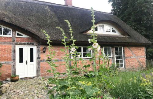 F-1081 Ferienwohnung Pfarrhof in Garz - Foto 2