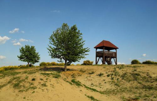 Šalatin jarek - Foto 46