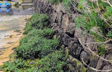 VIEUX PASSAGE, Maison avec cour privée à 150 m du PORT et de la PLAGE - Foto 42
