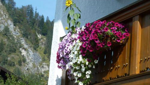 Haus im Kurpark - Foto 3