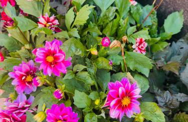 Quinta do Rosário - Photo 23