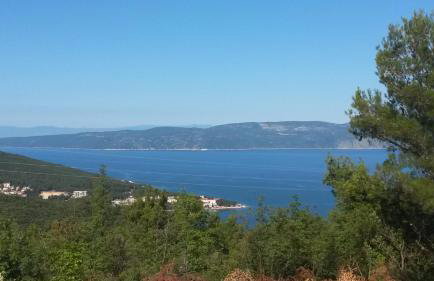 Home Lotus Flower - Foto 1