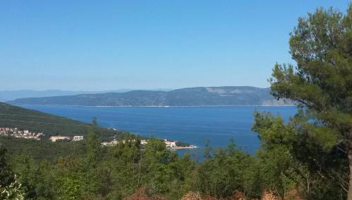 Home Lotus Flower - Foto 1