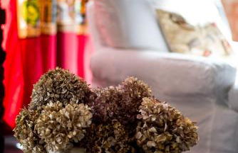 Agriturismo Tenuta Polledro - Photo 29