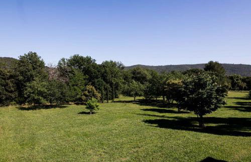 Domaine De Sigalous - Foto 53