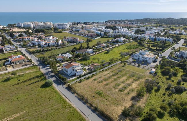 Almond Tree - Foto 3