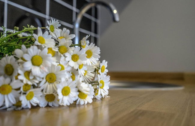 Ada Home Istanbul - Foto 24