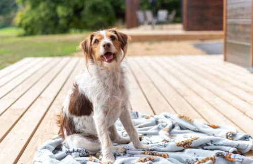 Meadow Valley Lodge 1 - Foto 11