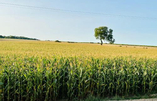 The Honeysuckle Coop - Foto 63