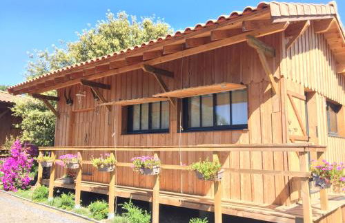 Gîte de l'océan, 3 étoiles - Les cabanes océanes, Montalivet - Foto 13