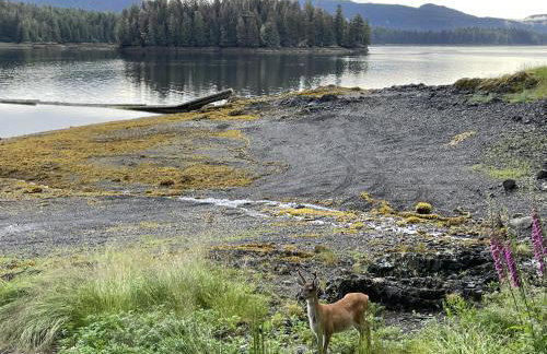 Cozy Luxury Close to Downtown 204 - Foto 15