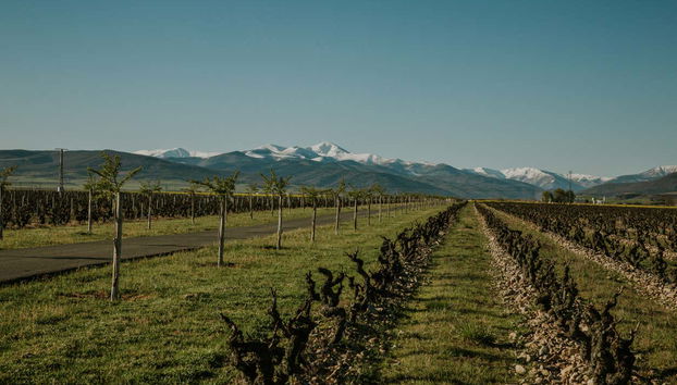 Tour in Baños de Rioja - Photo 3