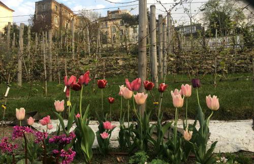 Montmartre en rez-de-jardin - Foto 43