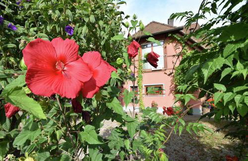 Family-Friendly Apartment - Foto 1