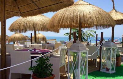 Oasis Pacifico - Photo 23