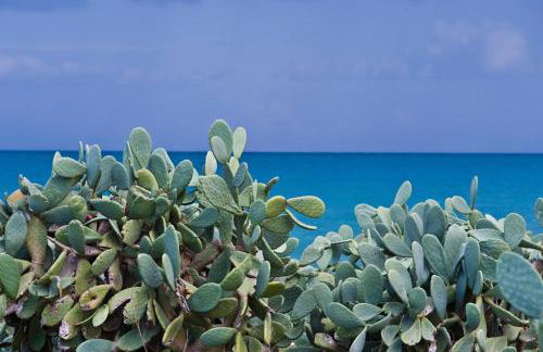 LA TERRAZZA DI PUGLIA - Foto 53