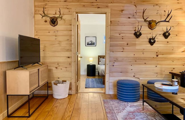 Back House Twin Cabin Ii-hot Tub Fireplace Hiking Retreat - Foto 8