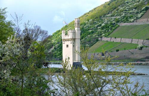 Relax-Fewo-Rösch - Foto 30