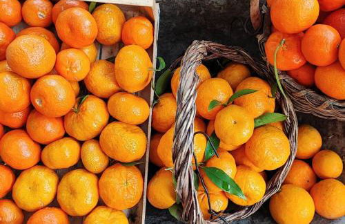 BBuSS Country Club - Foto 58