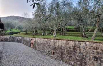 Casa Cipressino - Foto 61