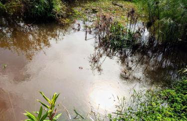 Roça Cult - Casa Baru - Foto 15