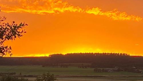 Cottage Farmhouse - Photo 5