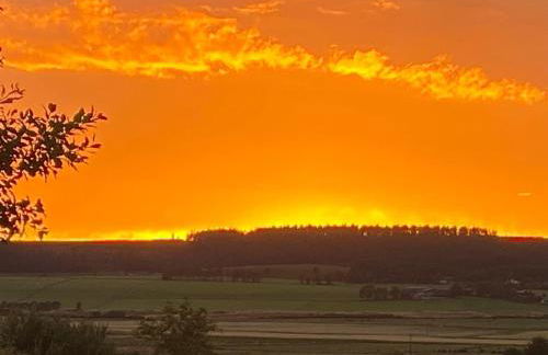 Cottage Farmhouse - Photo 5