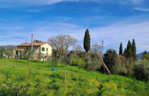 Podere Vinciguerra 39 - Foto 2