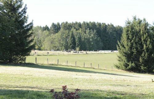 Landhaus Schnorrenberg, Wellness & Nature - Foto 54