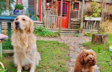 Gemütliches Studio-Apartment in Ostseenähe - Cosy Wulfi - Photo 31