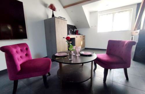 Love Room à Montargis - Photo 9