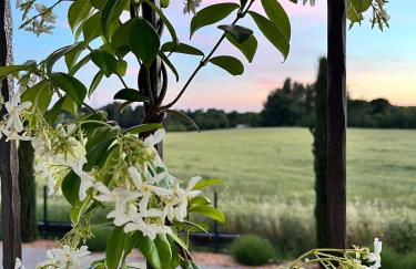 maison magnolia - Foto 11