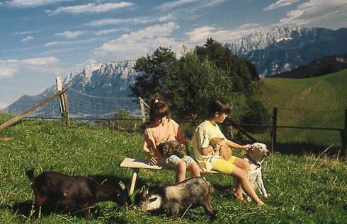 Berggasthof Bichlersee - Foto 14