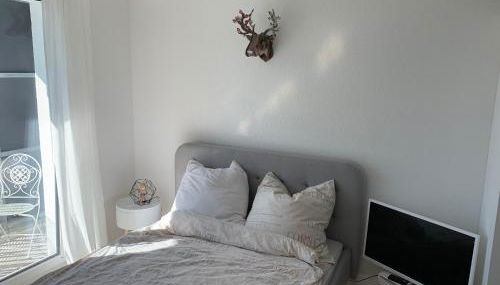 1-Zi. Apartment, Echterdingen bei Flughafen/Messe Stgt. - Foto 3