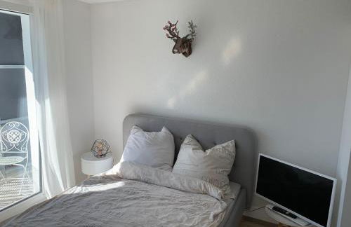 1-Zi. Apartment, Echterdingen bei Flughafen/Messe Stgt. - Foto 3