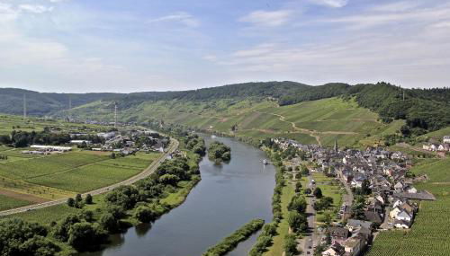 Weingut Rebenhof - Foto 5