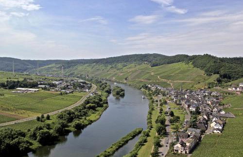 Weingut Rebenhof - Foto 5