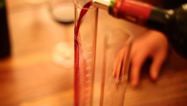 Bordeaux Wine Workshop - Photo 3