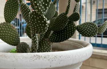 Casa Nicola Maria - Foto 35