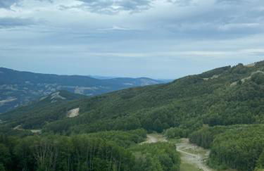 Ca’ Alba - Photo 77