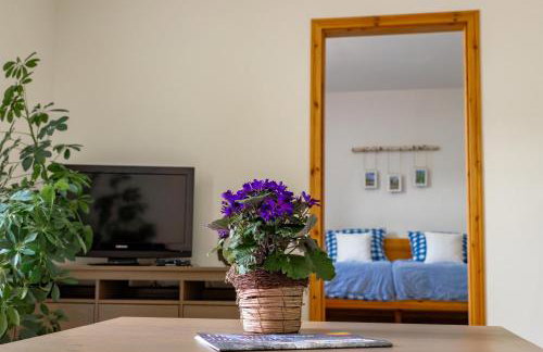 Ferienwohnungen "Zum Lochfeld" - Foto 17