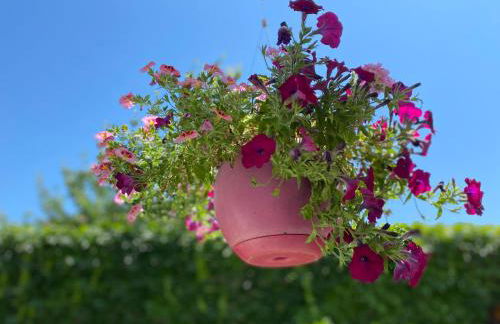 Strasbourg 3 pièces "Vue sur le jardin" - Foto 27