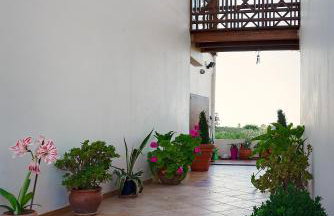 Giovanni Mare - Foto 14