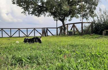 Casa laggiù - Foto 7